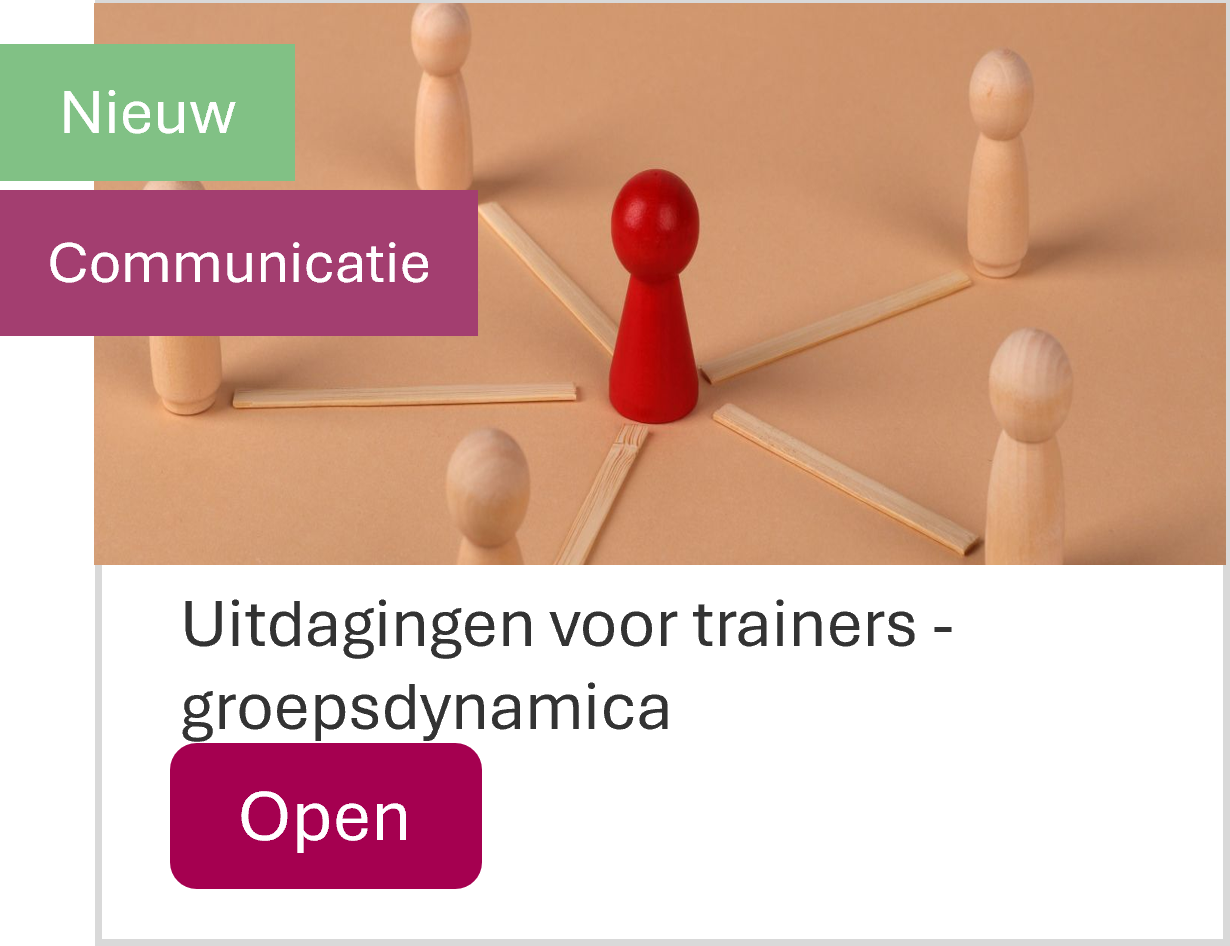 Interne trainers groepsdynamica
